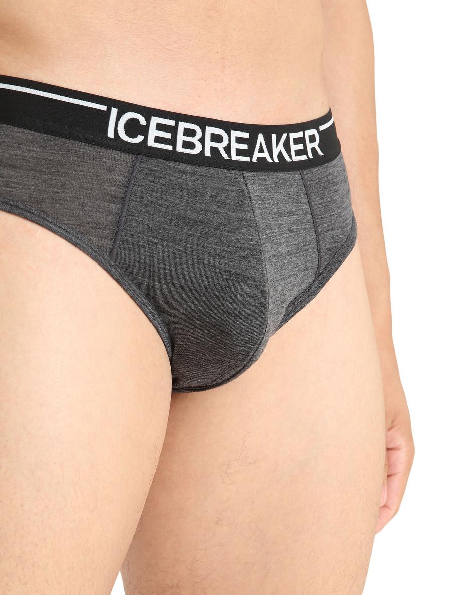 Men's Icebreaker Merino Anatomica Briefs Underwear Jet Heather | CA 1649TCEV